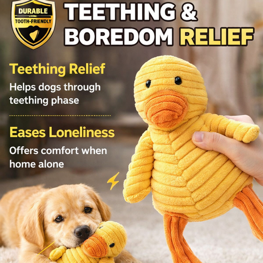 Petlori Textured Chew Companions