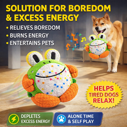 Petlori™ HopChase Ball