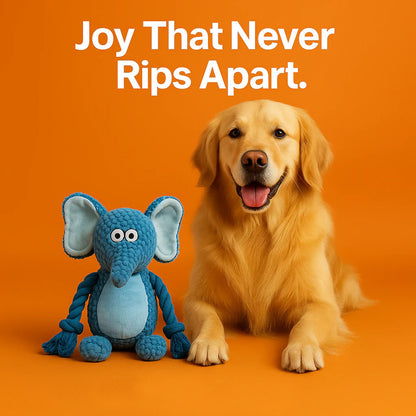 Petsume Tug & Squeak Toys
