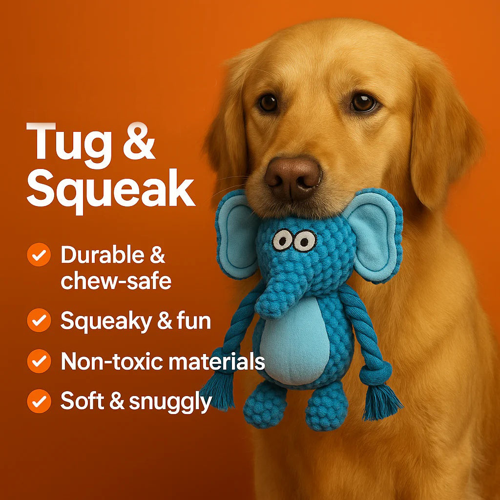 Petsume Tug & Squeak Toys