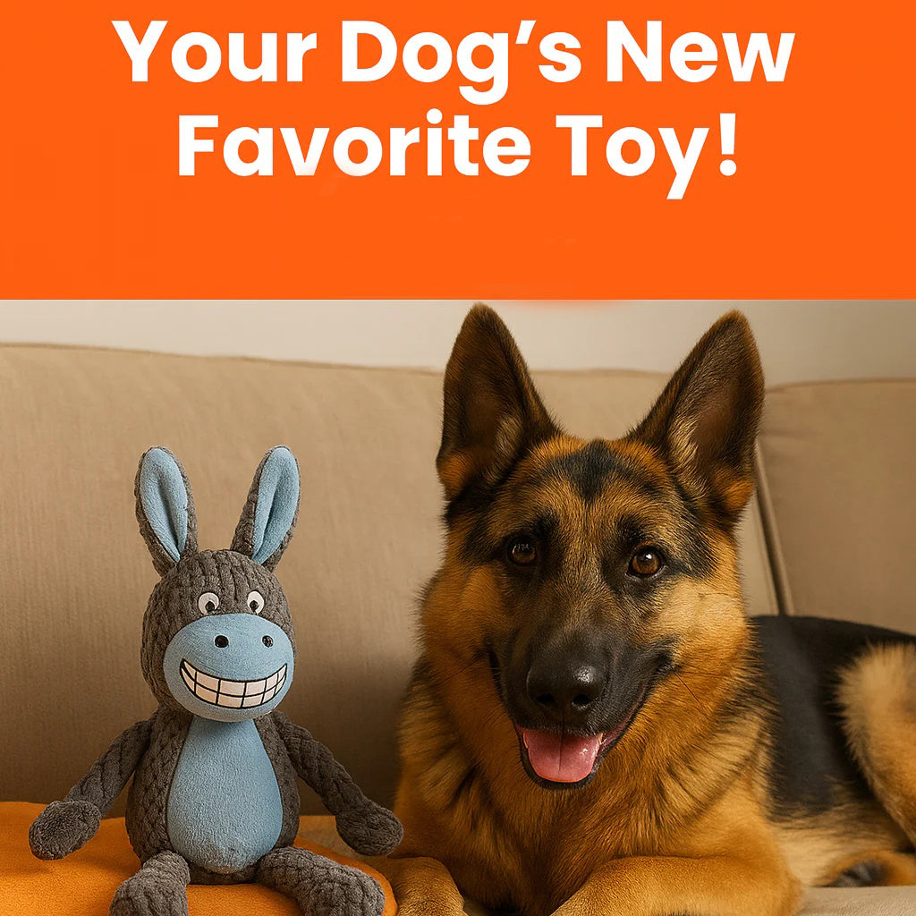 Petsume Tug & Squeak Toys