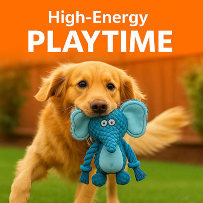 Petsume Tug & Squeak Toys