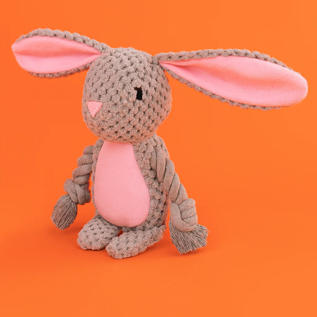 Petsume Tug & Squeak Toys