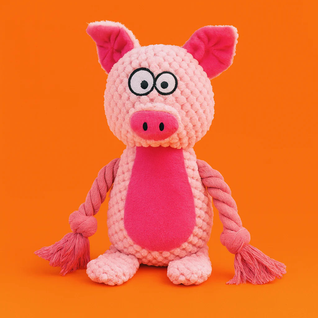 Petsume Tug & Squeak Toys