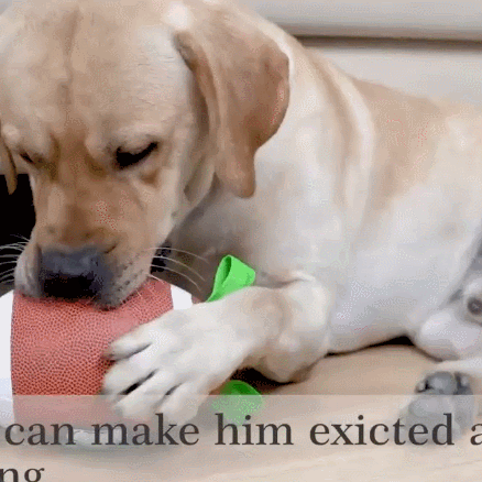 Petsume™ Zoomigo Superbowl Football