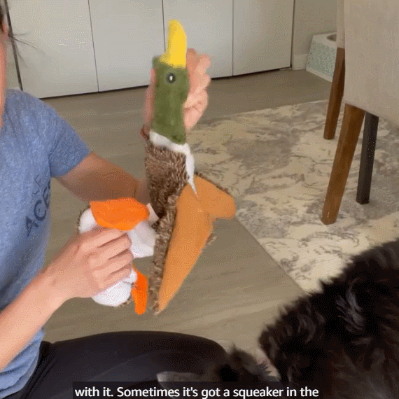 Petlori™ TrustyChew Wild Duck 18''