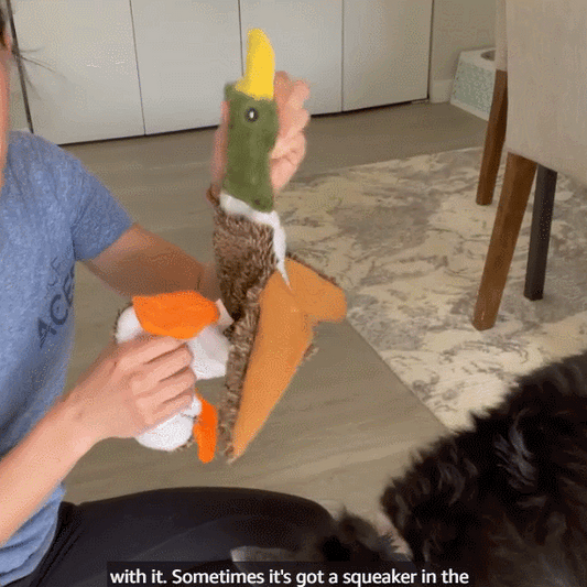 Petlori™ TrustyChew Wild Duck 18''