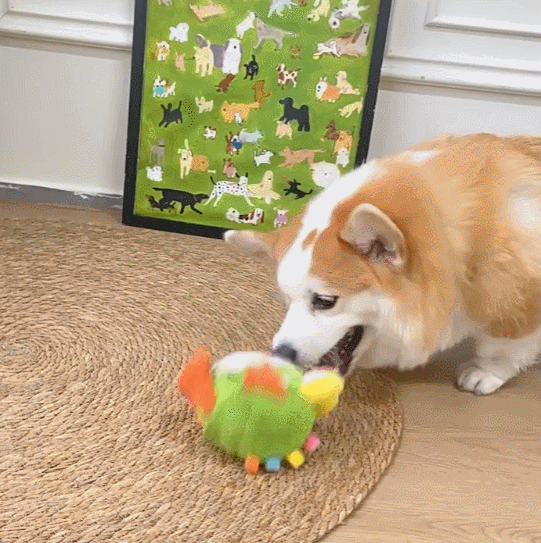 Petlori™ HopChase Ball