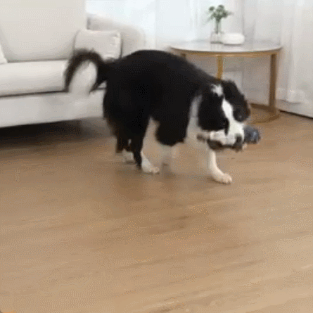 Petootsy™ ChewLine Lattice Hippo