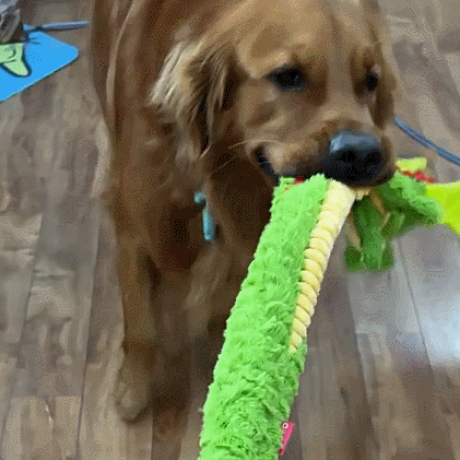 Petlori™ TrustyChew Flying Dragon 40''