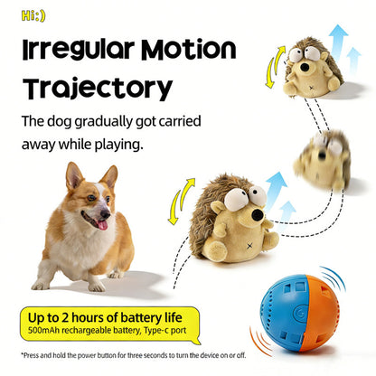 Petsume™ Zoomigo Intelligent Interaction