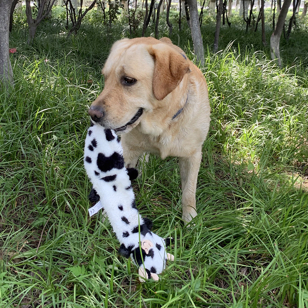 Petlori TrustyChew™