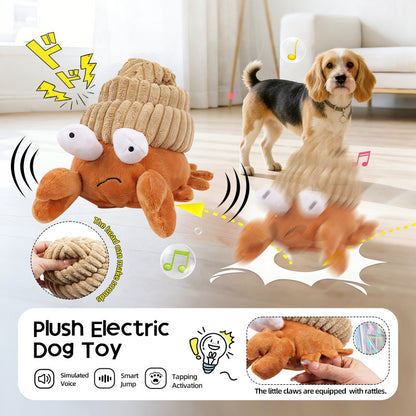 Petsume™ Zoomigo Intelligent Interaction