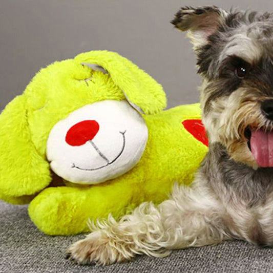 Petlori Heartbeat Puppy for Dogs