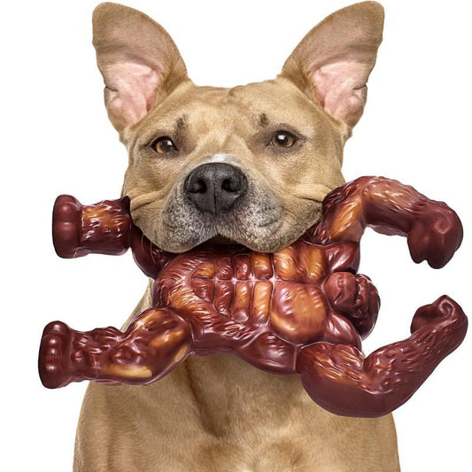 Dog Teeth Gnawing Nylon Beef Flavor Toy