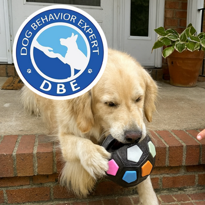 Petootsy™ TitanChew BarkGrip Ball