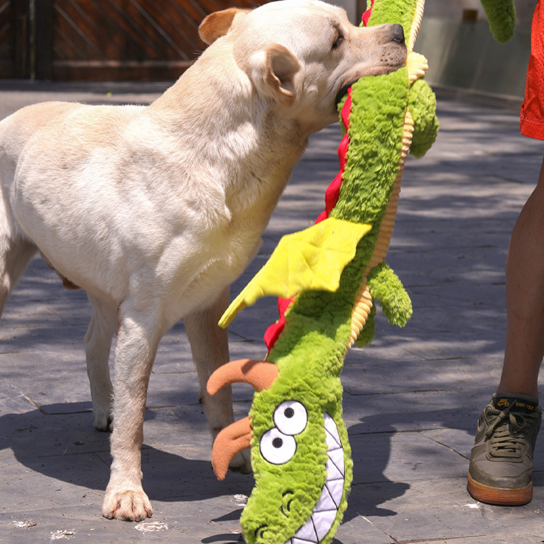Petlori™ TrustyChew Flying Dragon 40''