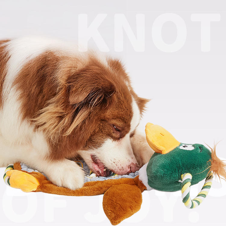 Petlori™ TrustyChew Knotted Duck