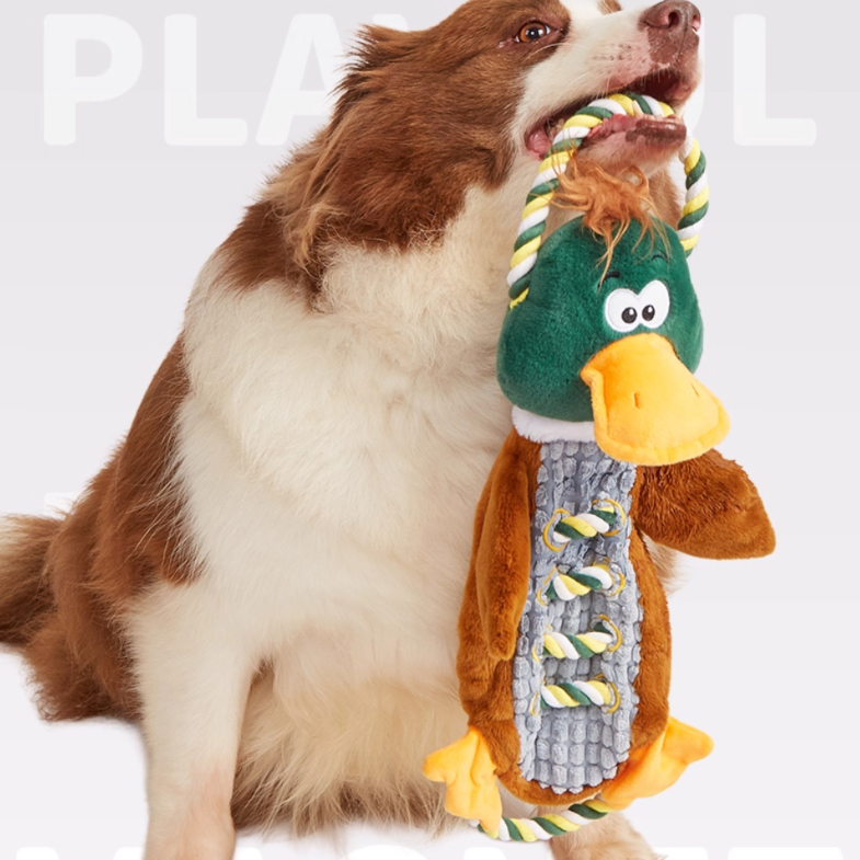 Petlori™ TrustyChew Knotted Duck