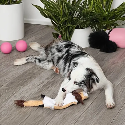 Petlori TrustyChew™