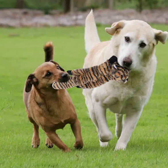 Petlori TrustyChew™