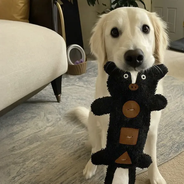 Petlori Tug-a-Treats™